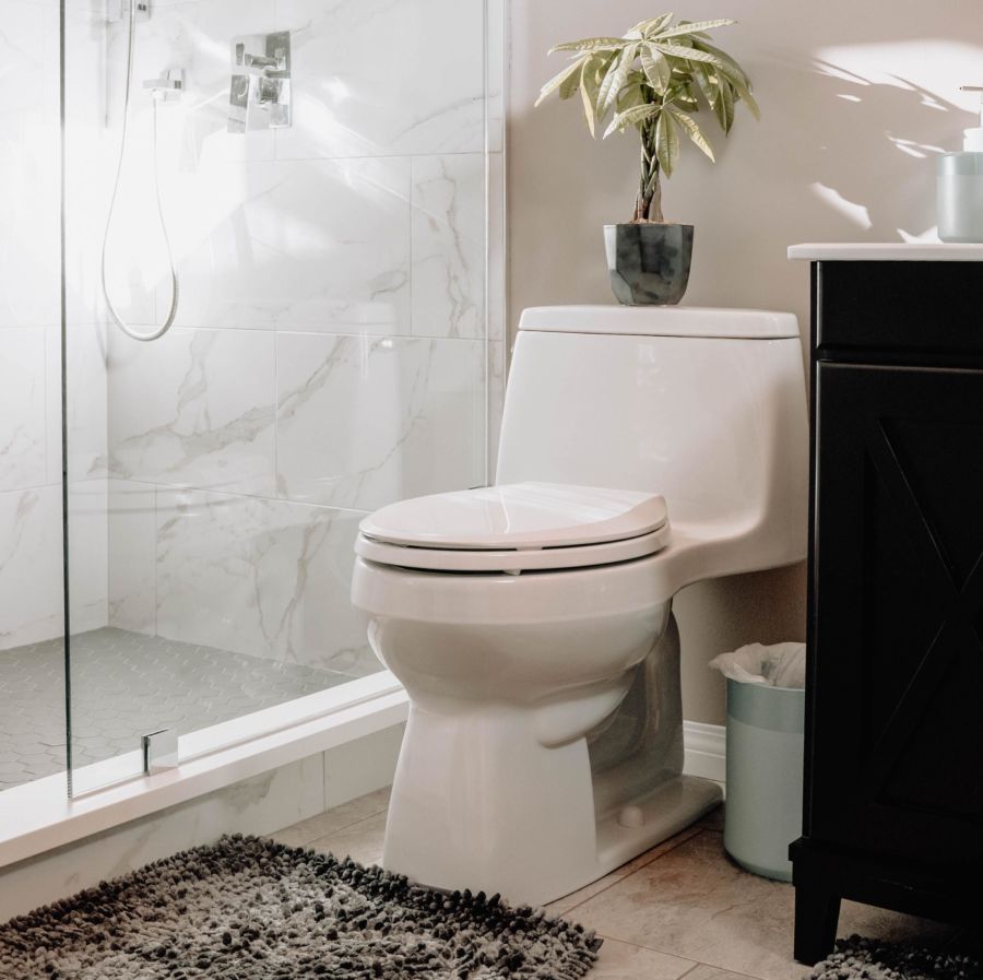 A white porcelain toilet between shower and vanity